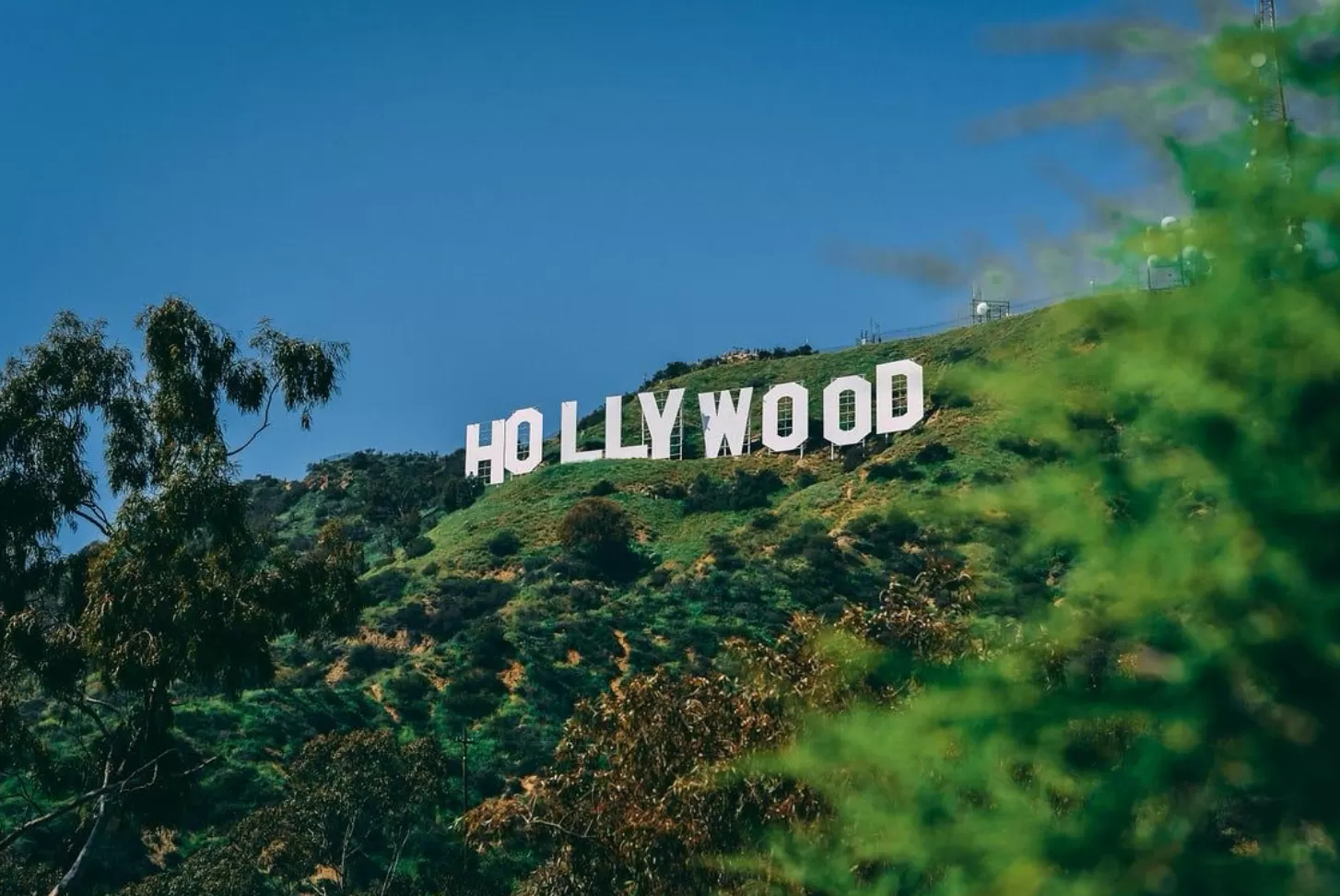 Hollywood