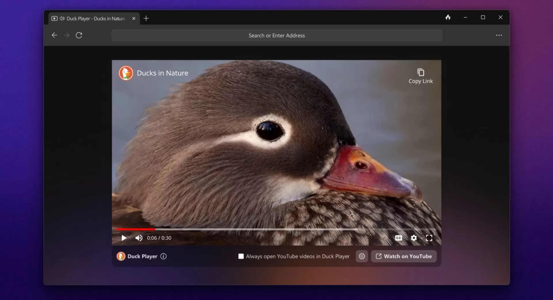 DuckDuckGo blockiert YouTube-Werbung direkt im Browser