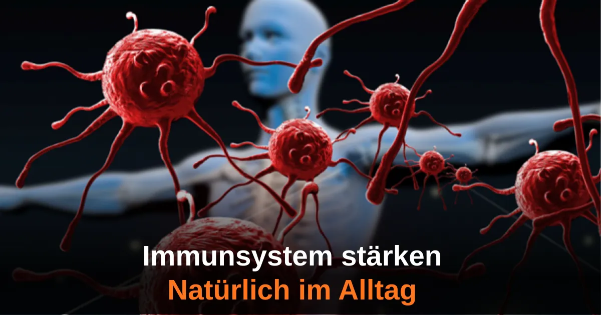 So bleibt das Immunsystem im Alltag stabil