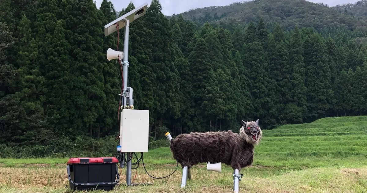 Japan Setzt Roboter-Wölfe Gegen Bärenangriffe Ein